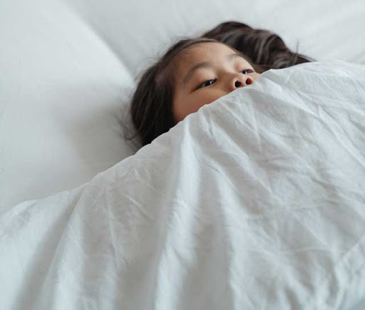 causes de l'insomnie idiopathique